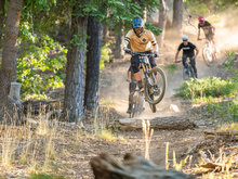 在大熊市雪峰会自行车公园（Snow Summit Bike Park）骑车