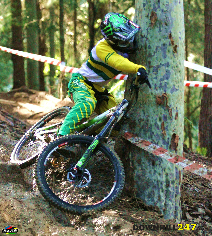 downhill247com-TB-tree.jpg