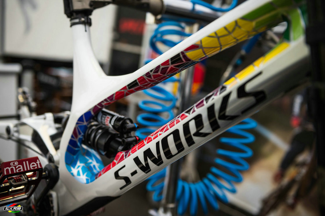 26 Loic Bruni's Specialized Demo.jpg