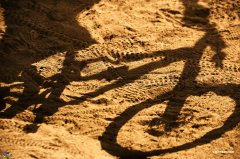 03 第19个赛段！2017安第斯太平洋enduro赛第五天-lp.jpg