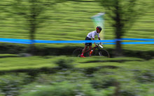 遨游茶海 - 2019“多彩贵州”自行车联赛（湄潭站）暨遵义•中国茶海自行车赛第二天 