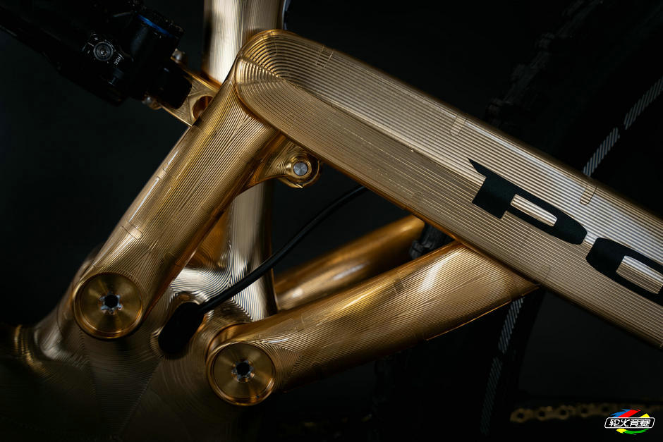 10-vikkela-gold-detail-1341.jpg