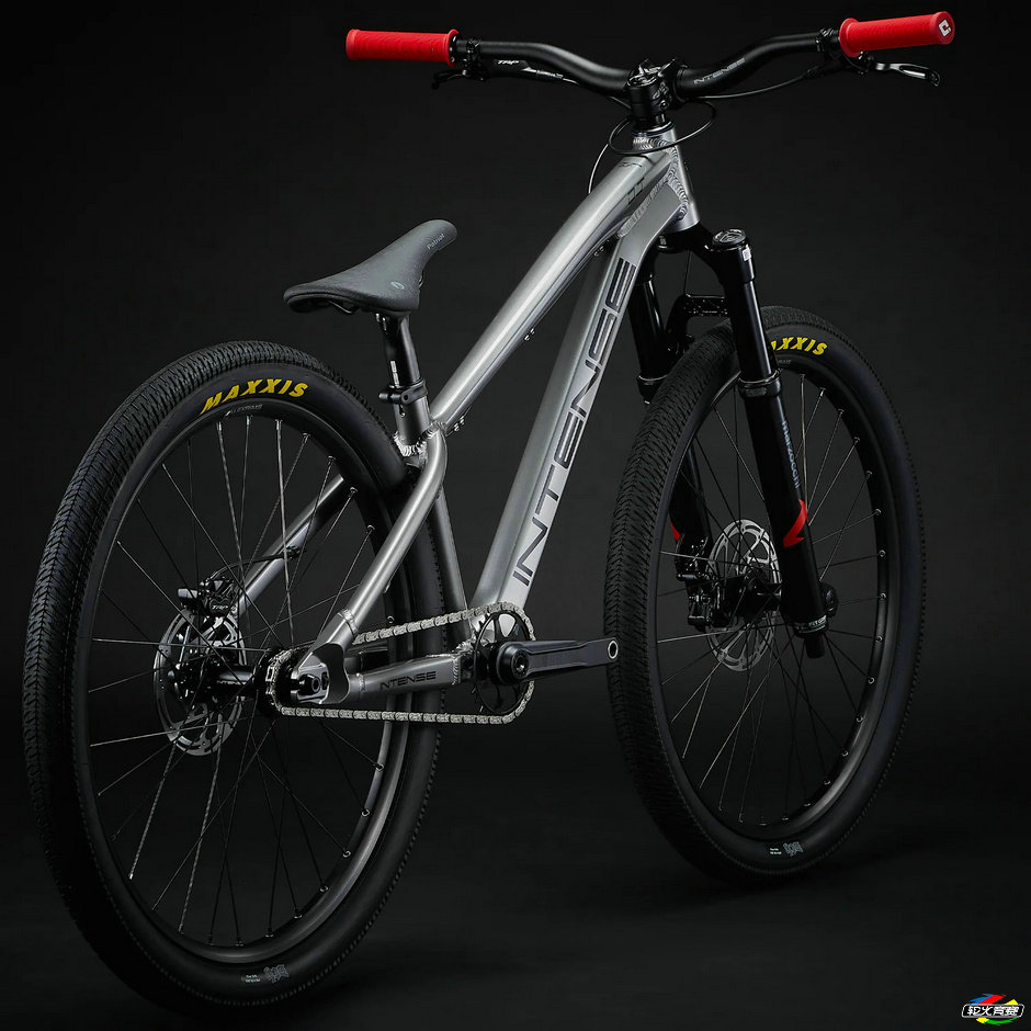 Shop-INTENSE-Cycles-alloy-Dirt-Jump-Bike-silver-for-sale-online-rear_1800x1800