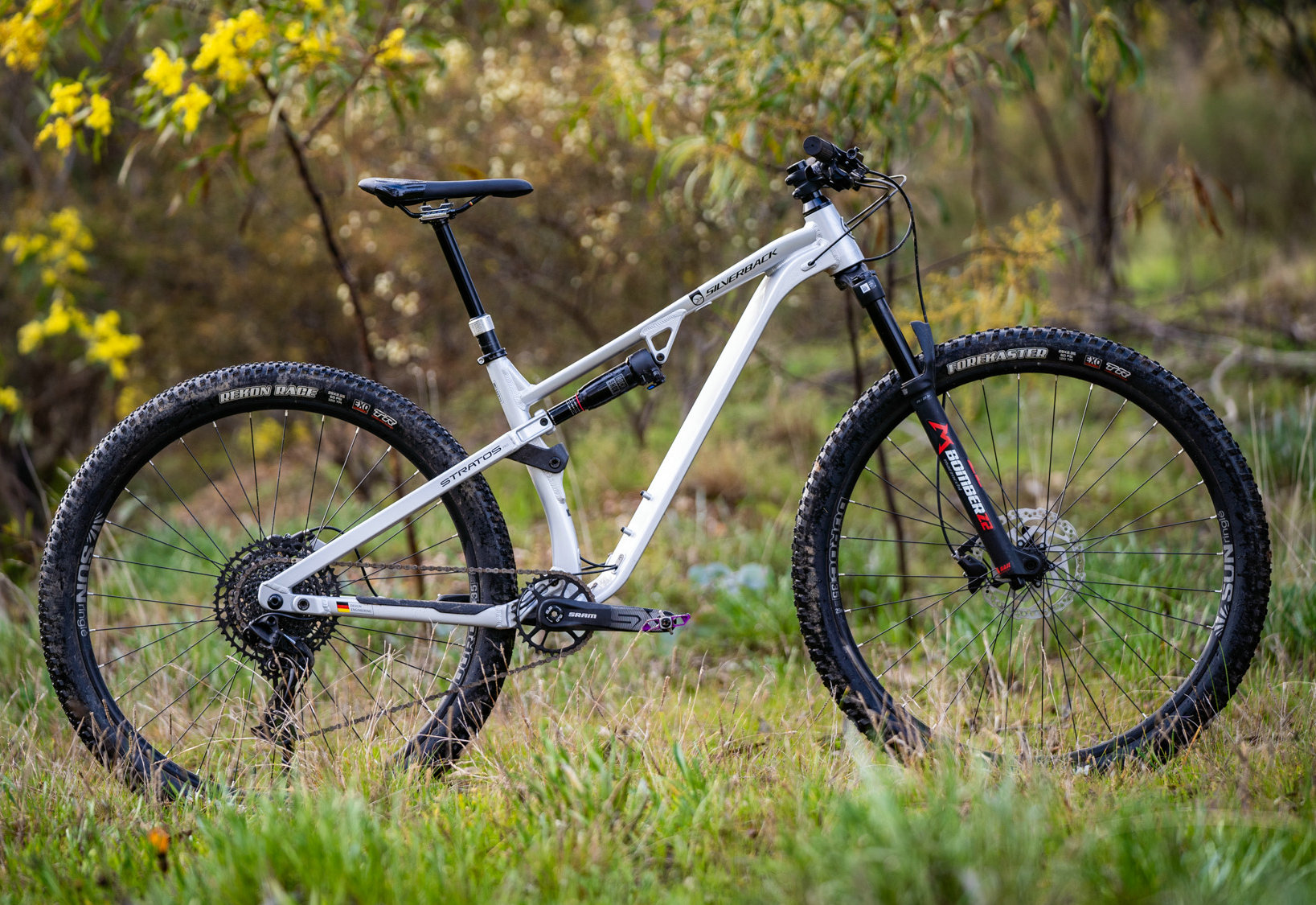 Silverback-Stratos-AL-Pro-09879.jpg