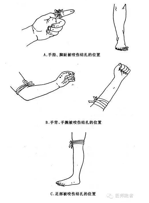 QQ截图20150808112735.jpg