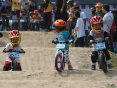09351620180513P5130527-lp.jpg